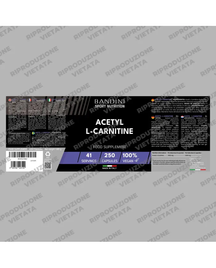 Acetil L-Carnitina - 250 Capsule